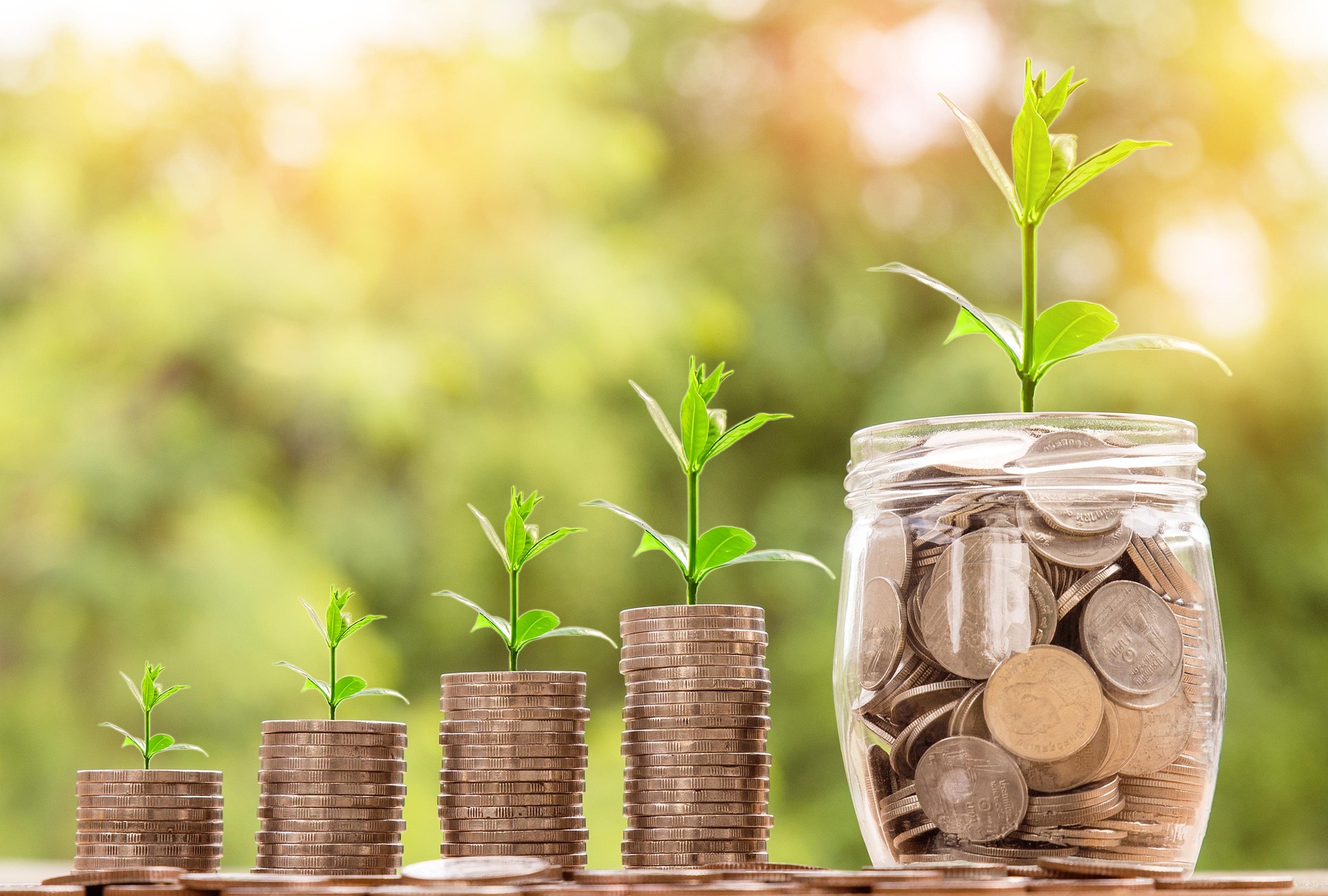 From Entry-Level to Senior: A 5-Year Roadmap for Career Growth